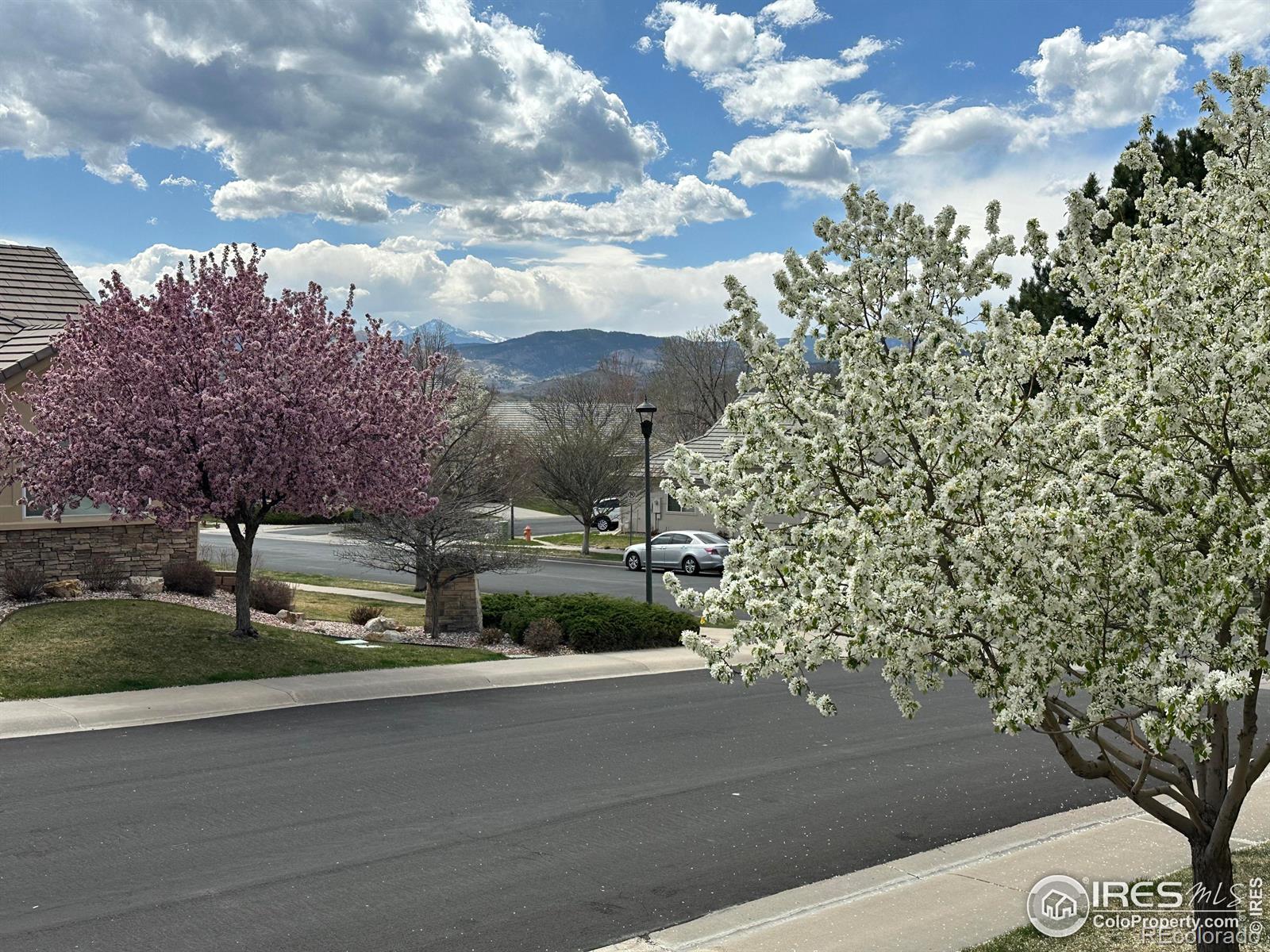 MLS Image #39 for 520  clubhouse drive,loveland, Colorado