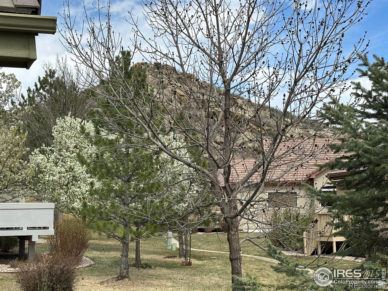 MLS Image #40 for 520  clubhouse drive,loveland, Colorado