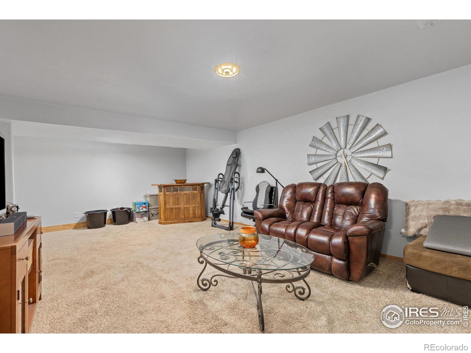 MLS Image #21 for 576 s honeylocust court,milliken, Colorado