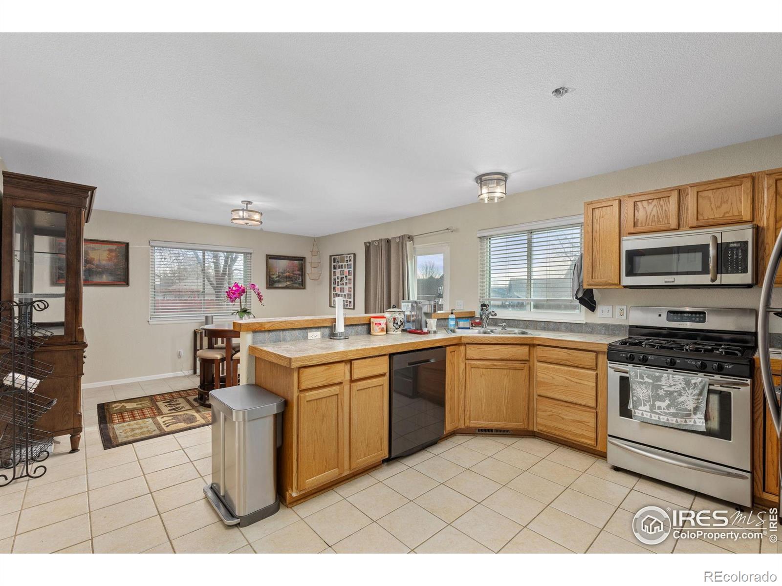MLS Image #9 for 576 s honeylocust court,milliken, Colorado