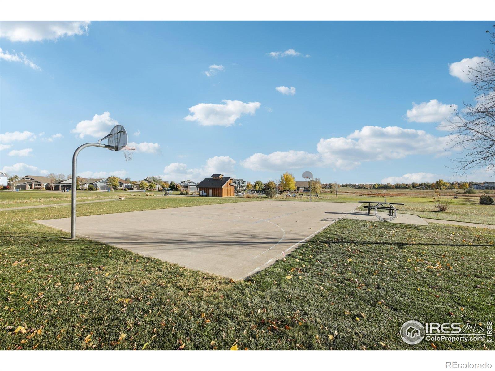 MLS Image #29 for 708  crown ridge lane,fort collins, Colorado