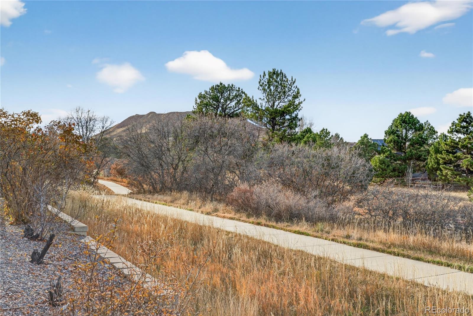 MLS Image #30 for 1539  dawson butte way,castle rock, Colorado