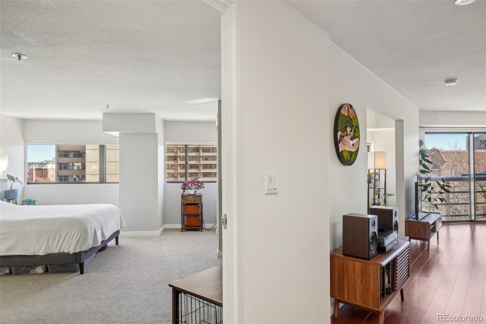 MLS Image #18 for 100  park avenue 304,denver, Colorado