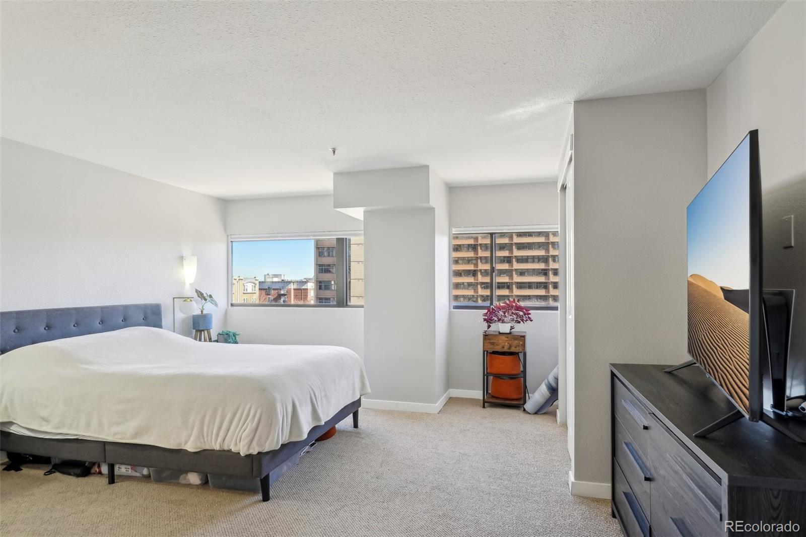 MLS Image #19 for 100  park avenue 304,denver, Colorado