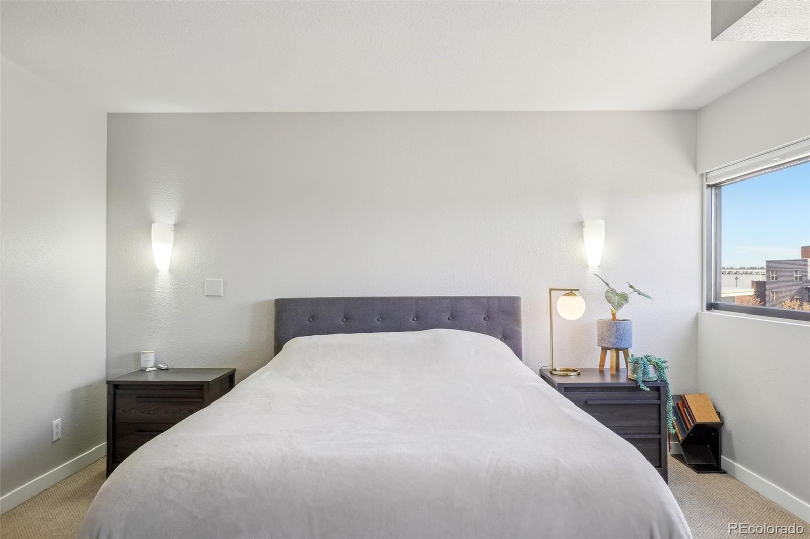MLS Image #20 for 100  park avenue 304,denver, Colorado