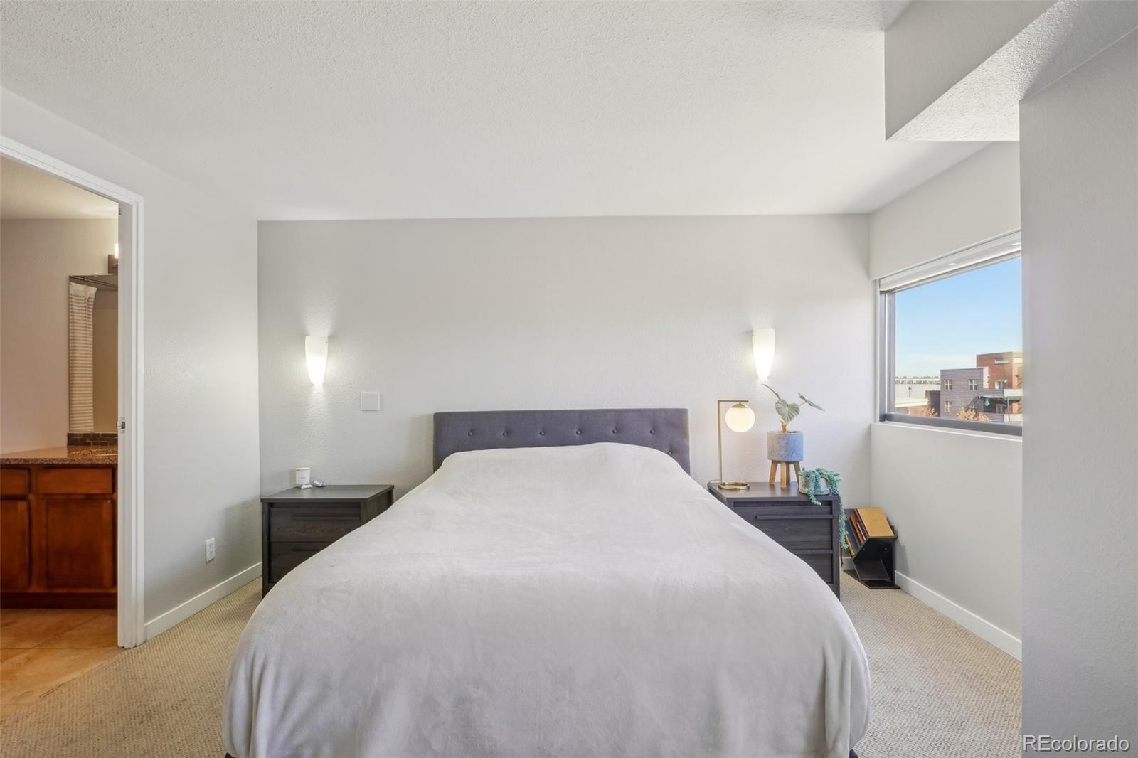 MLS Image #21 for 100  park avenue 304,denver, Colorado