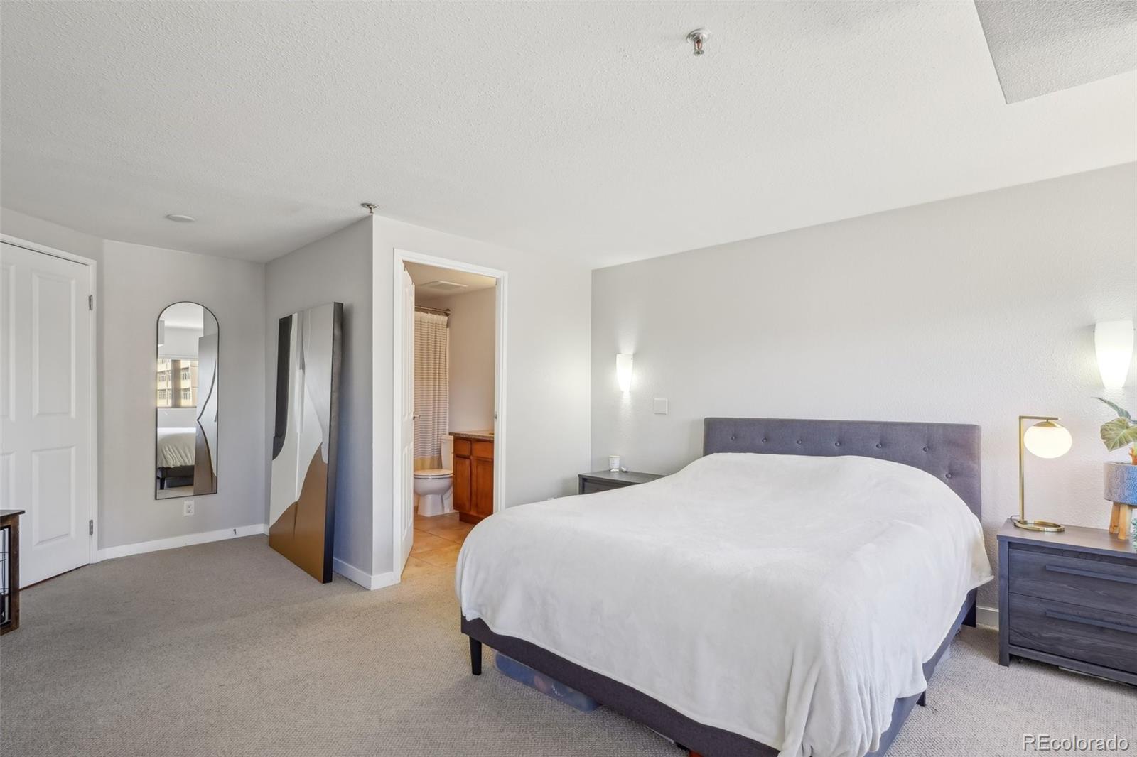 MLS Image #22 for 100  park avenue 304,denver, Colorado