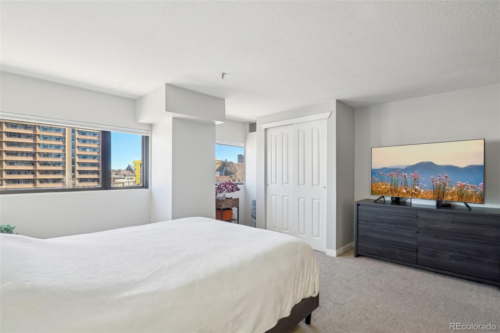 MLS Image #23 for 100  park avenue 304,denver, Colorado