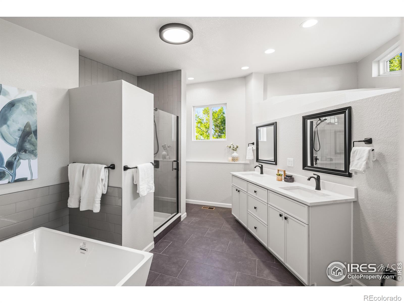 MLS Image #12 for 615  utica street,denver, Colorado