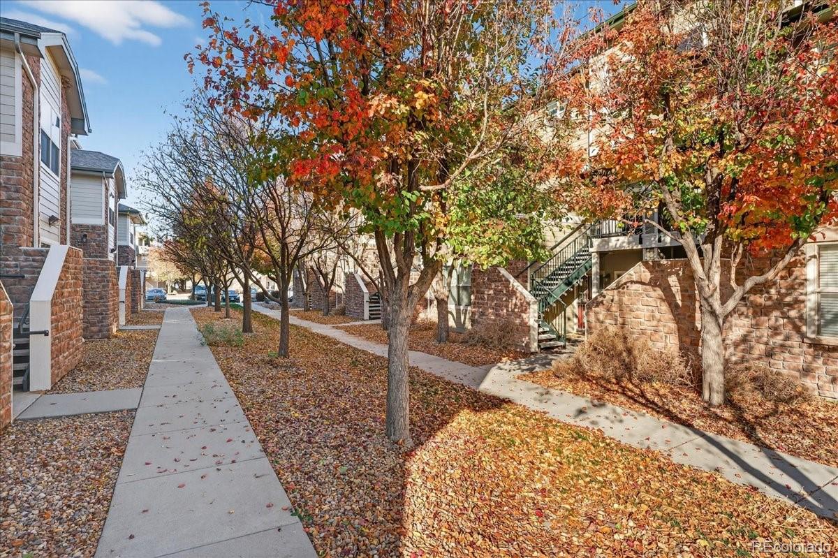 MLS Image #20 for 5800  tower road,denver, Colorado