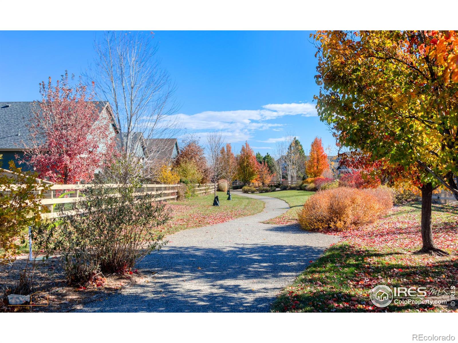 MLS Image #19 for 323  golden gate drive,lafayette, Colorado