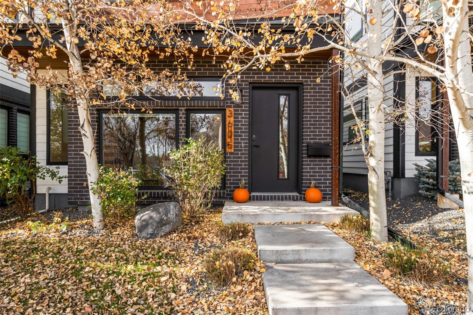 MLS Image #1 for 3605  lipan street,denver, Colorado