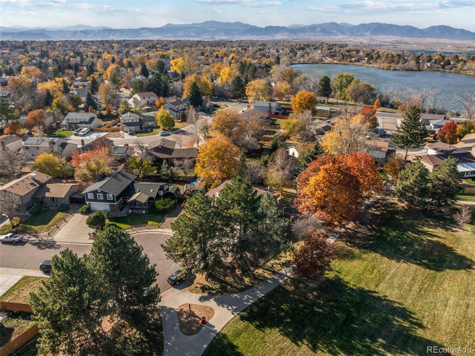 MLS Image #3 for 8393  flower court,arvada, Colorado