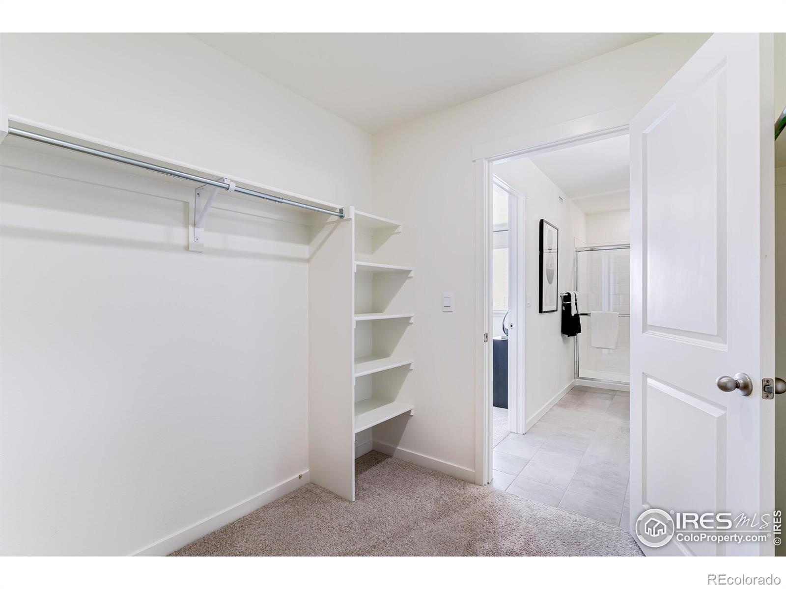 MLS Image #22 for 920  logan peak way,berthoud, Colorado