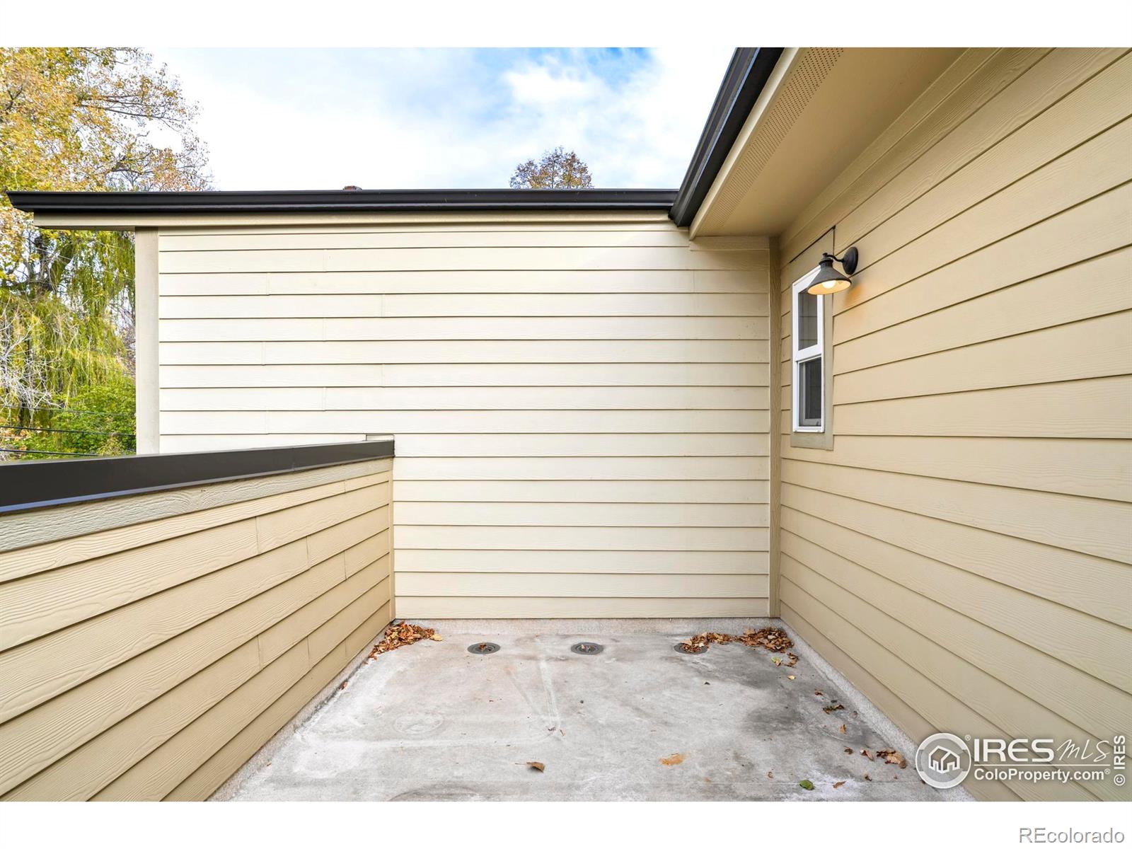 MLS Image #15 for 409  terry street,longmont, Colorado