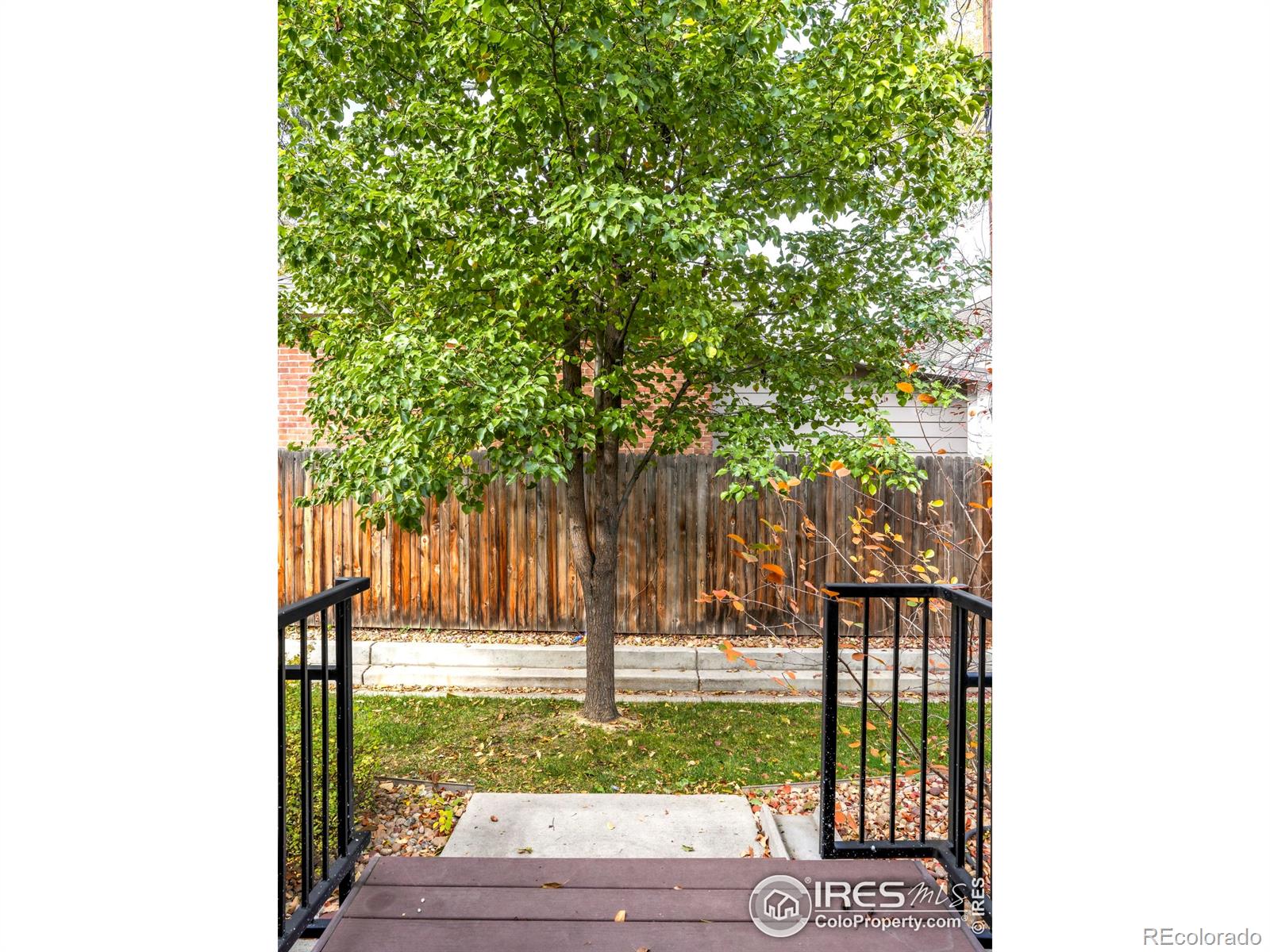 MLS Image #21 for 409  terry street,longmont, Colorado