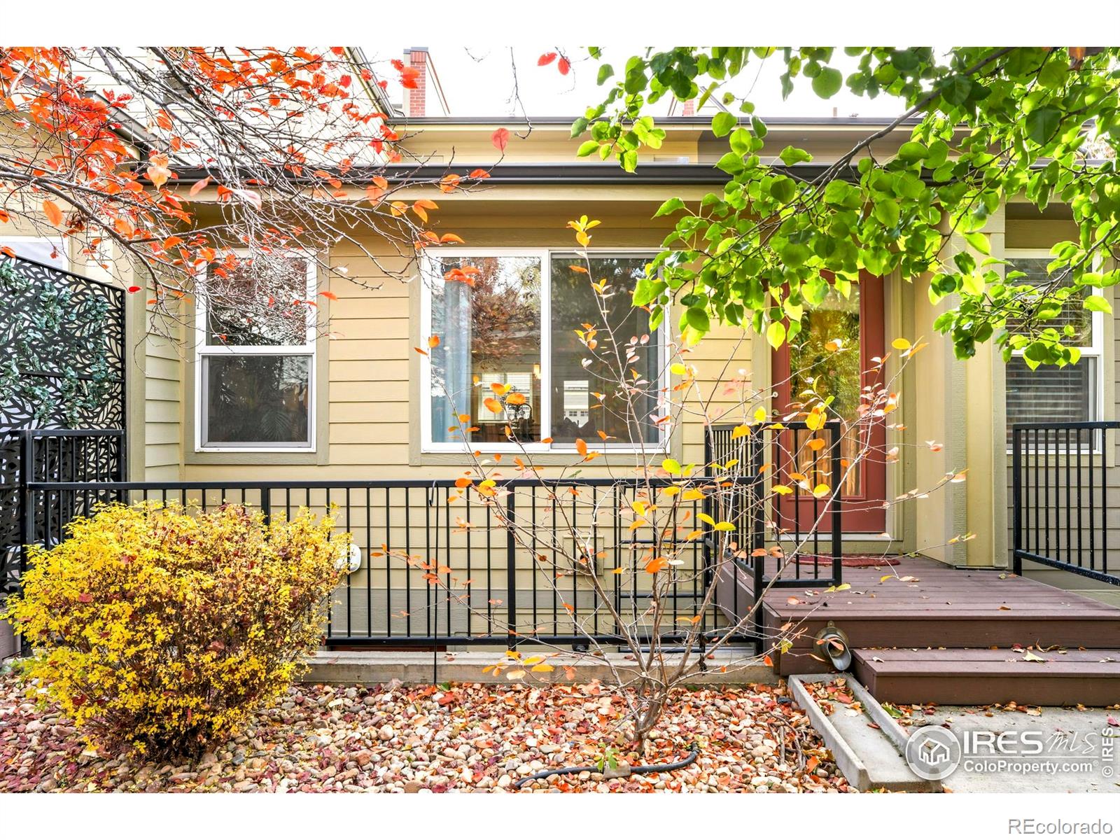 MLS Image #22 for 409  terry street,longmont, Colorado