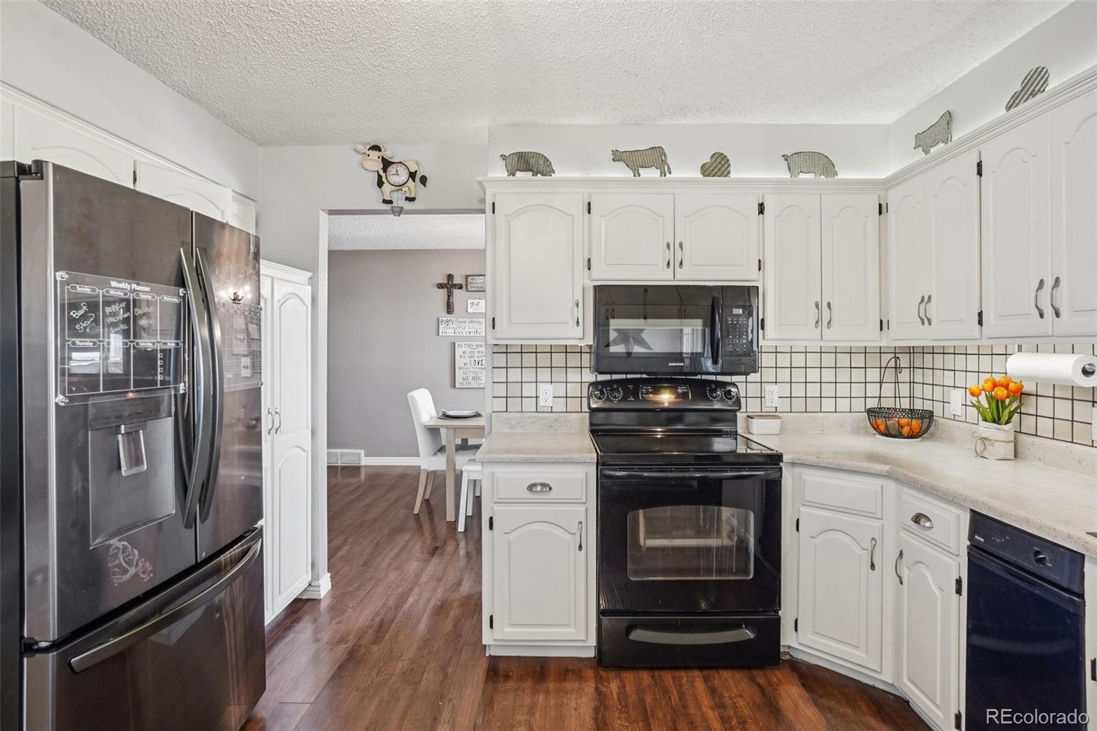 MLS Image #16 for 779 e thomas avenue,byers, Colorado