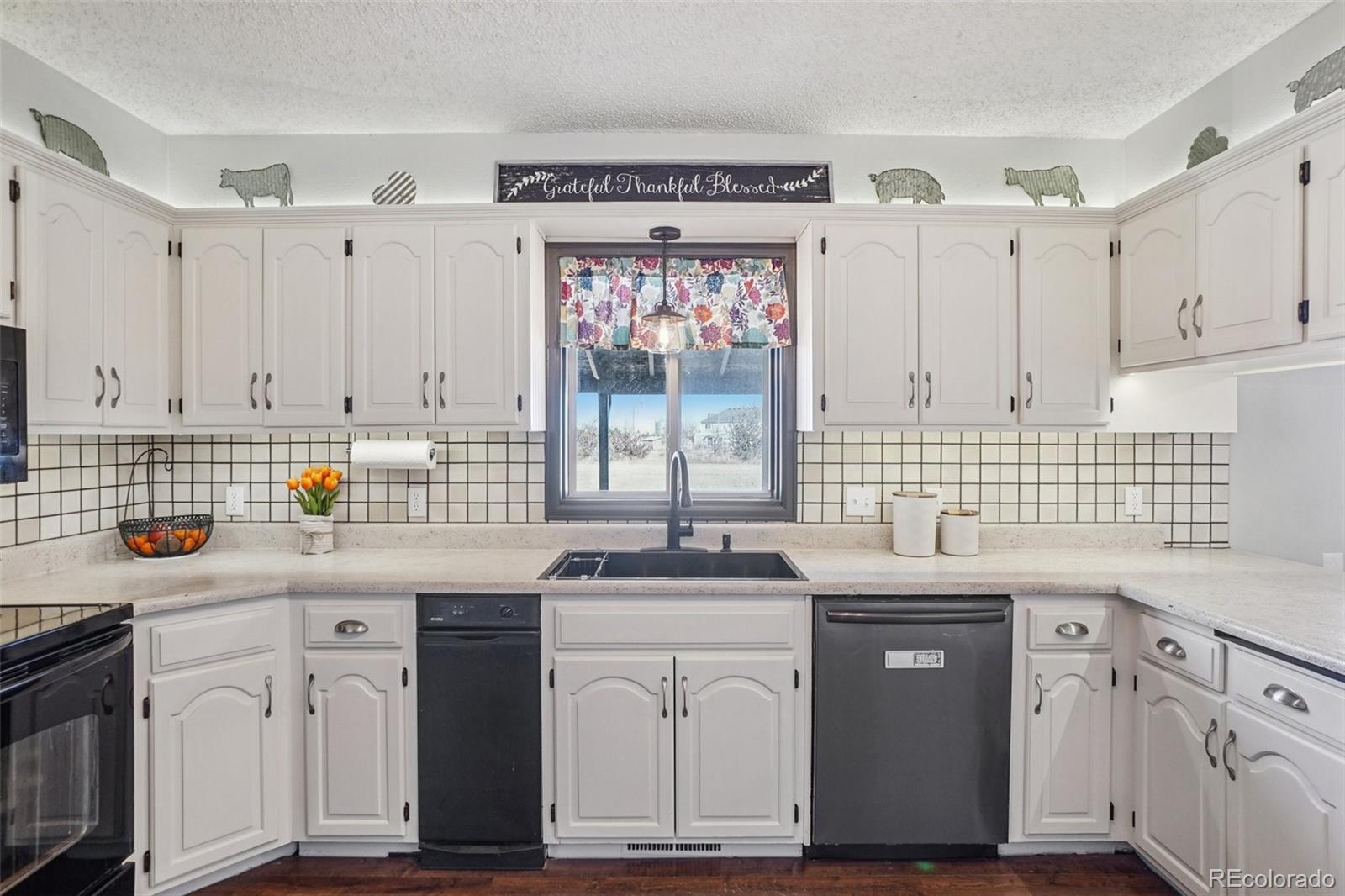 MLS Image #17 for 779 e thomas avenue,byers, Colorado