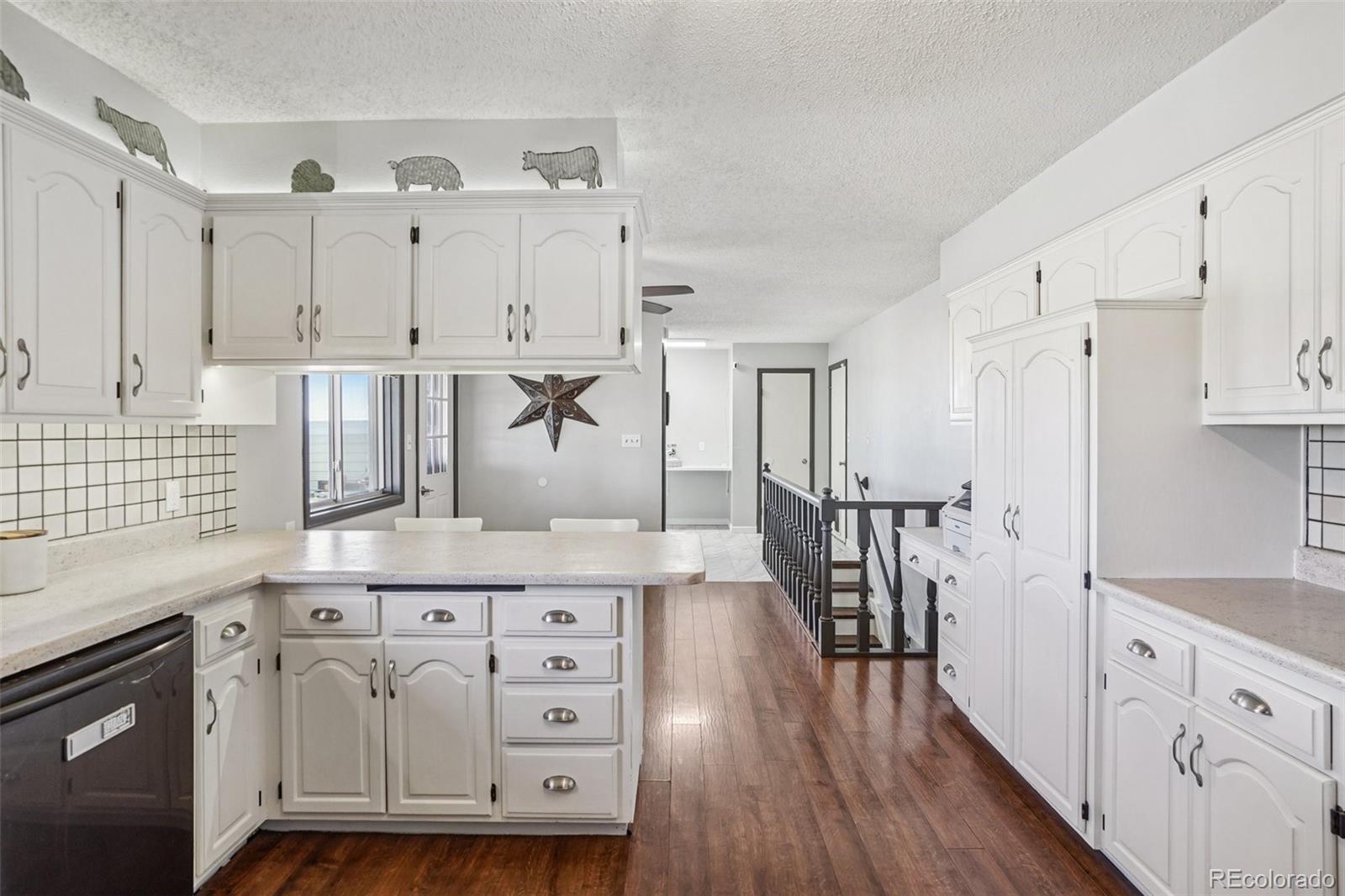 MLS Image #18 for 779 e thomas avenue,byers, Colorado
