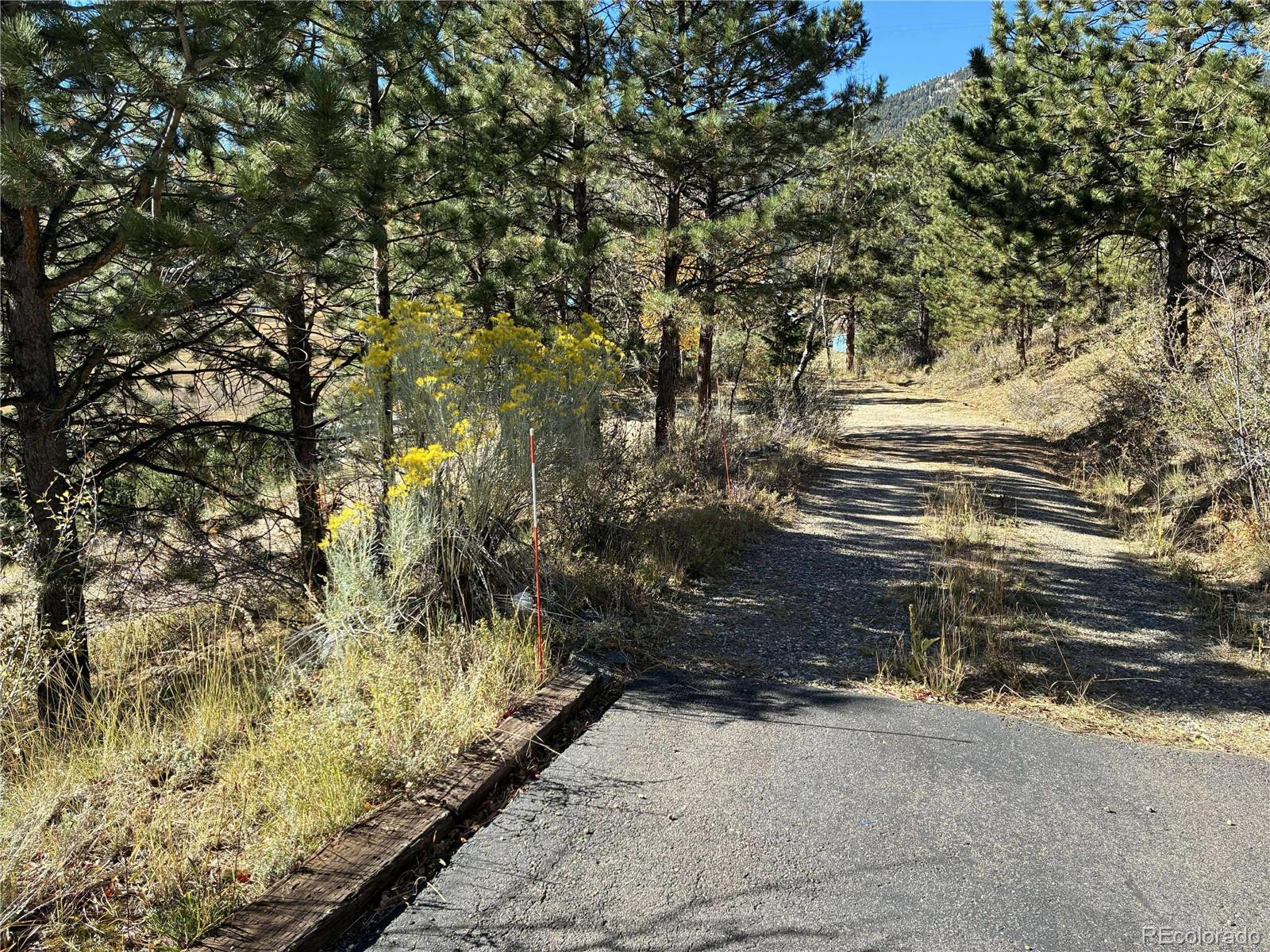 MLS Image #14 for 132  floyd hill way,evergreen, Colorado