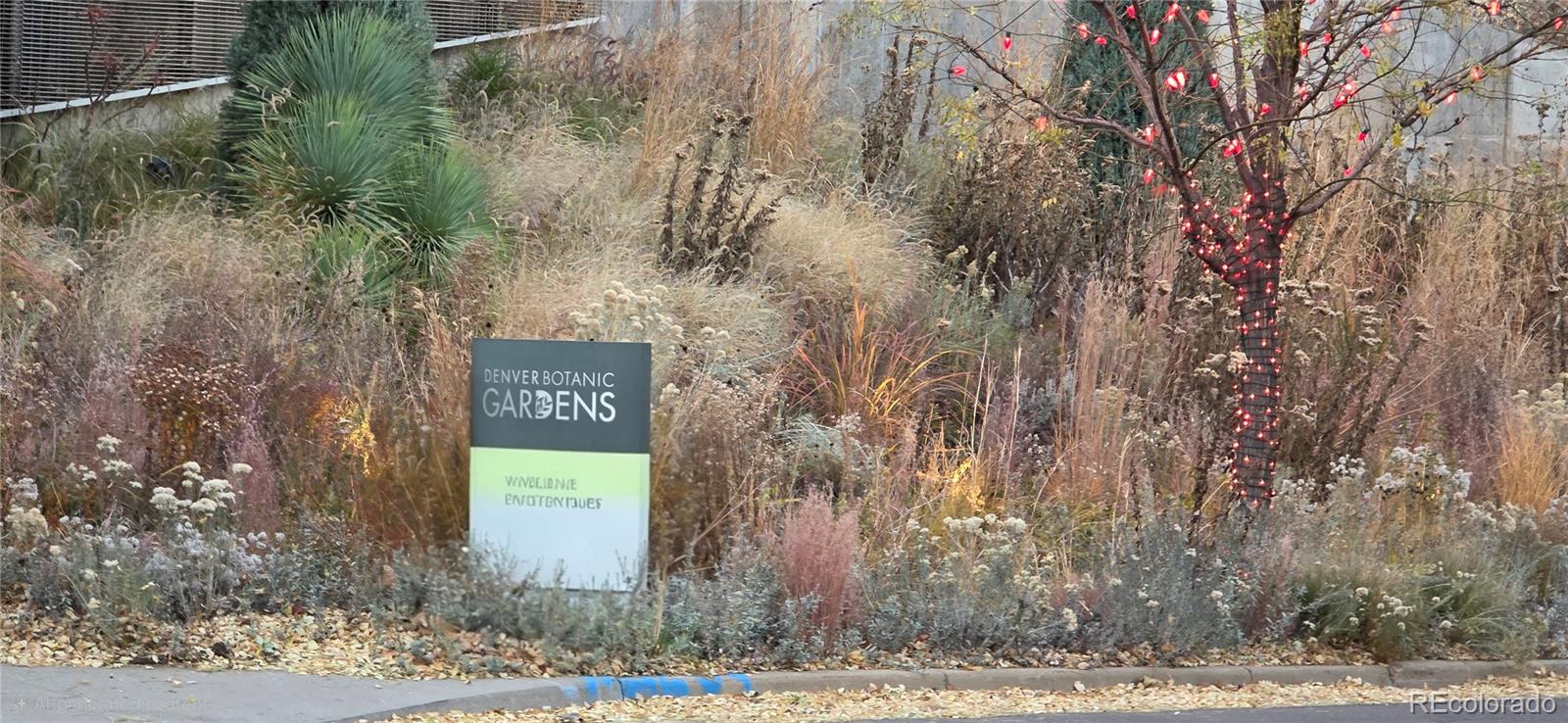 MLS Image #36 for 1365  columbine street 102,denver, Colorado