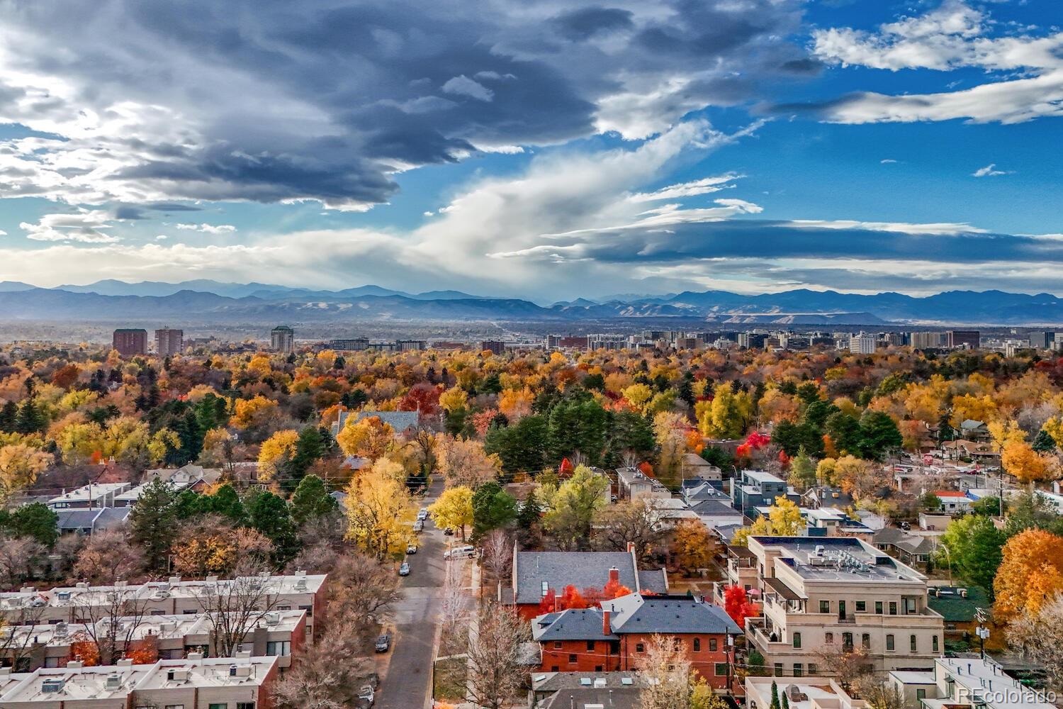 MLS Image #47 for 522  columbine street,denver, Colorado