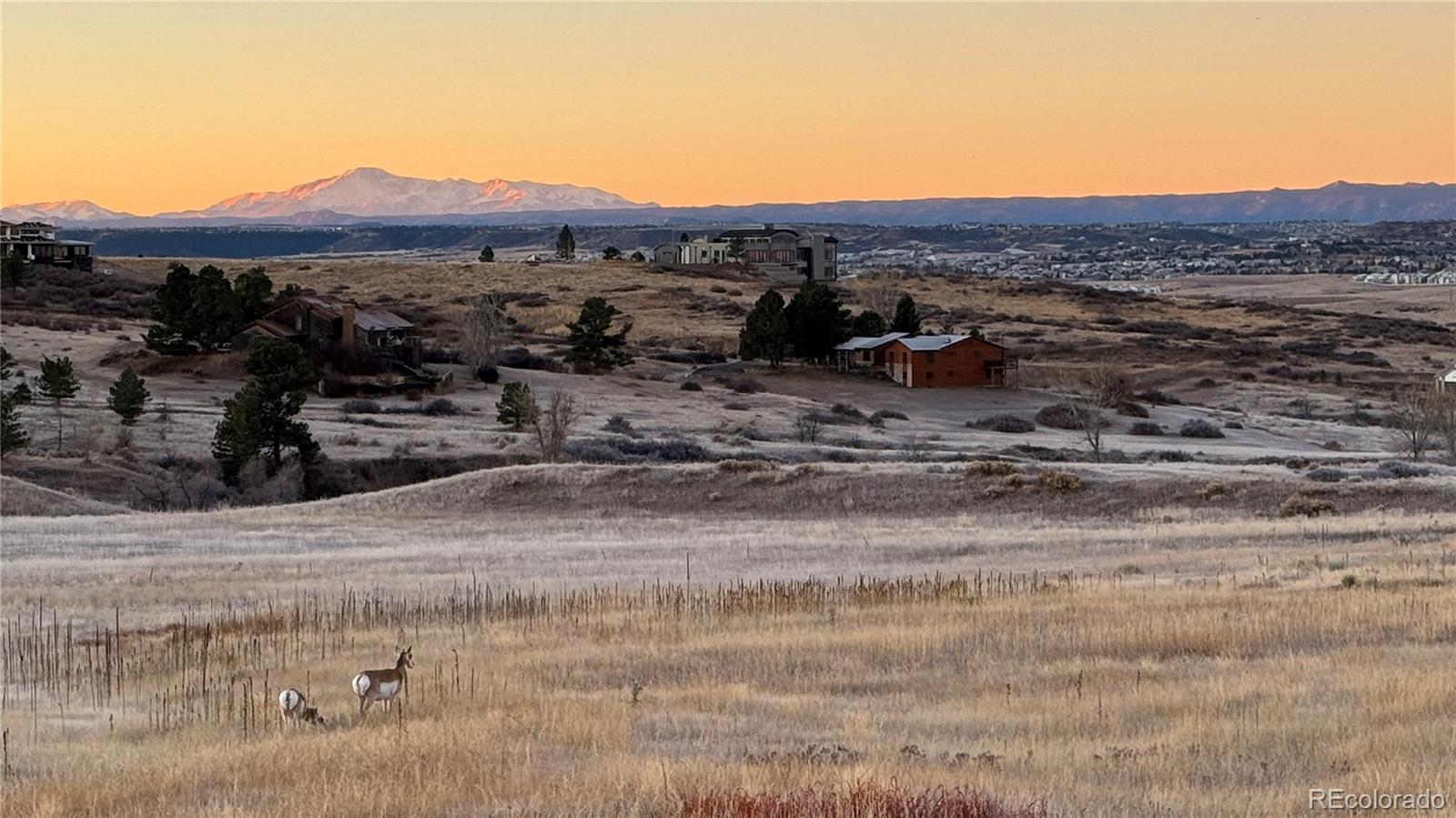 MLS Image #2 for 7363  stroh road,parker, Colorado
