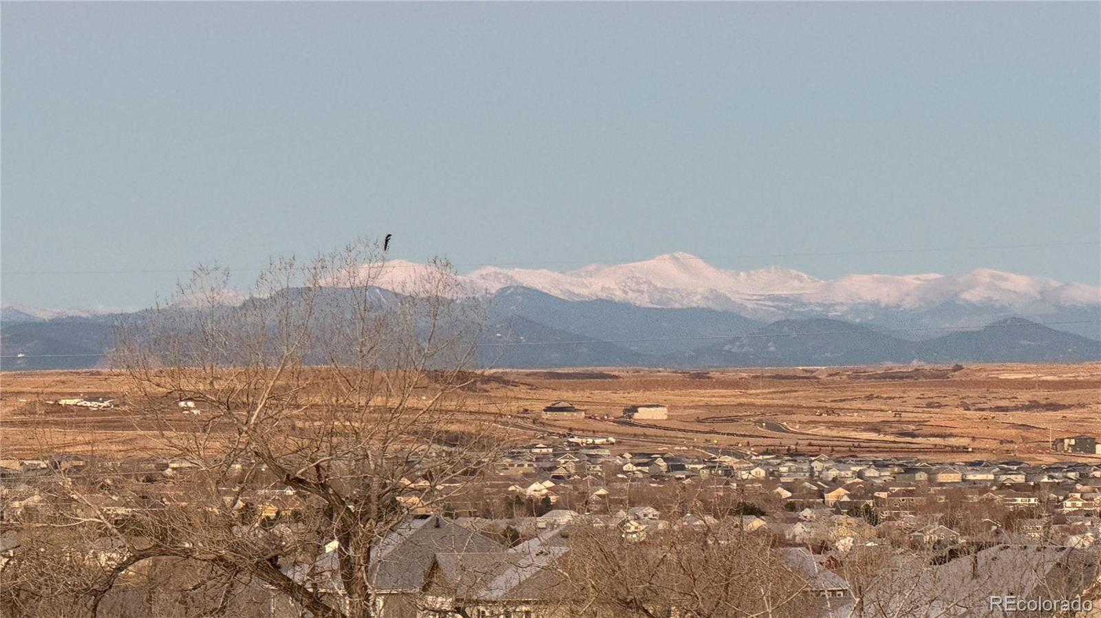 MLS Image #3 for 7363  stroh road,parker, Colorado