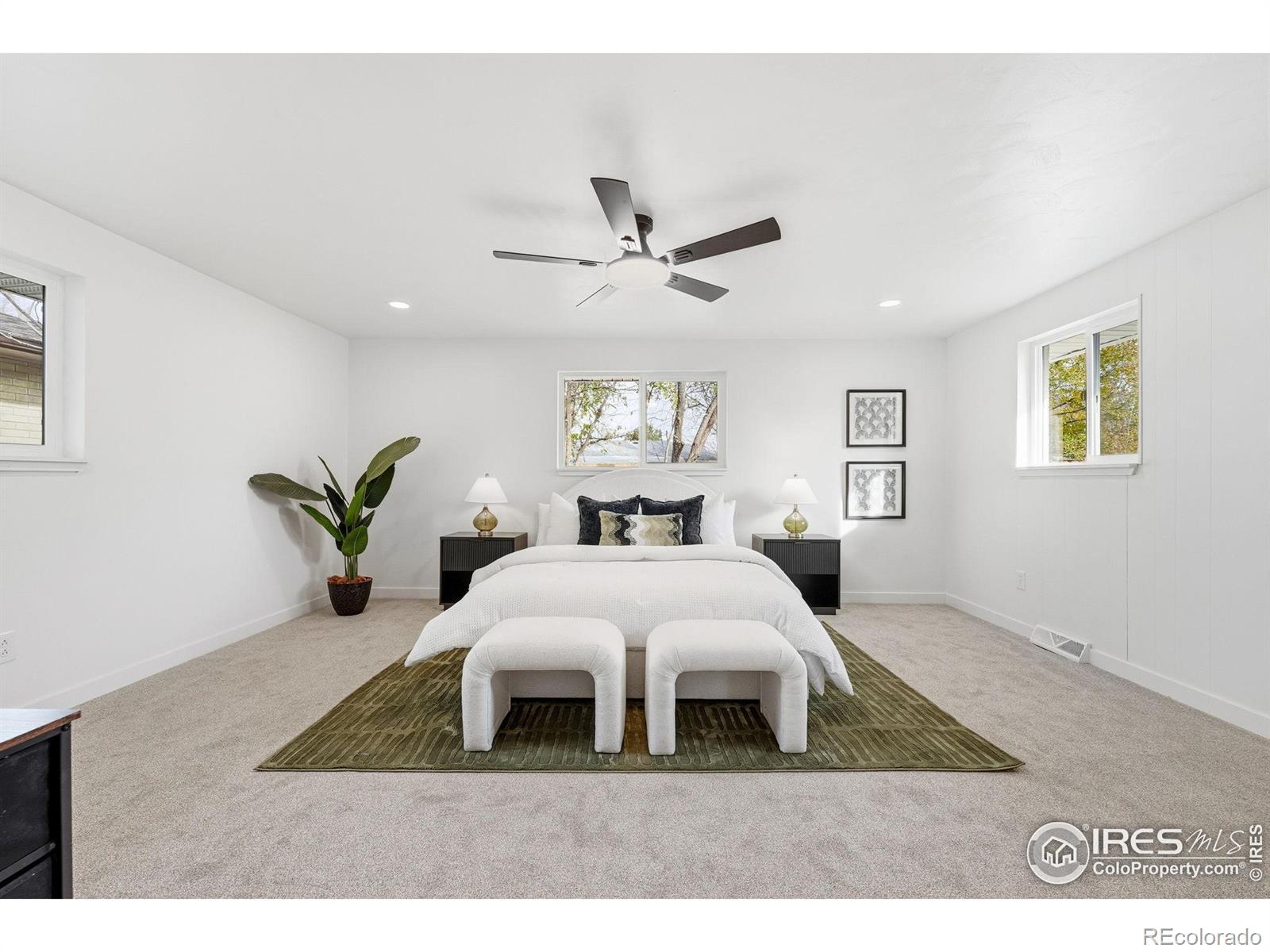 MLS Image #13 for 1144  vivian street,longmont, Colorado