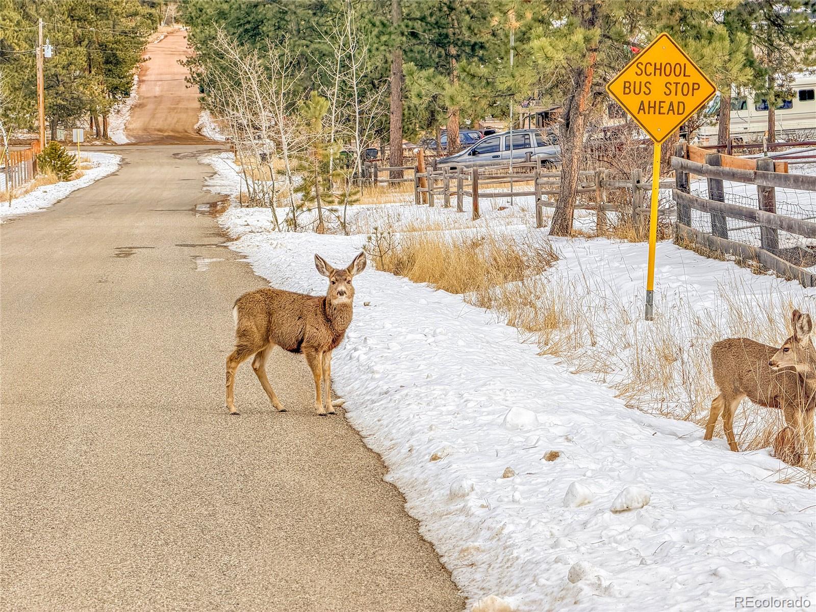 MLS Image #1 for 99  mohawk trail,pine, Colorado