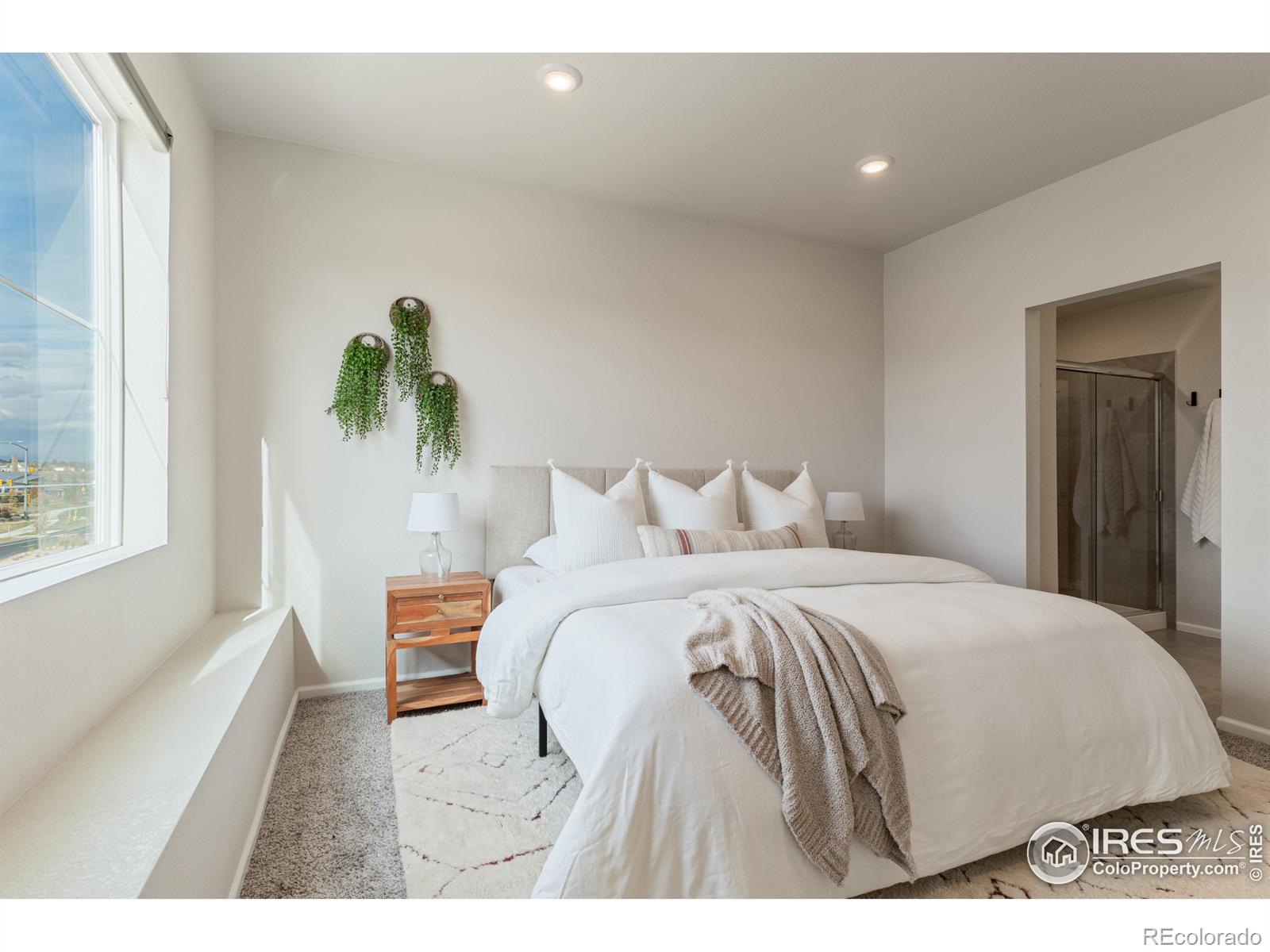 MLS Image #31 for 13720  via varra  ,broomfield, Colorado