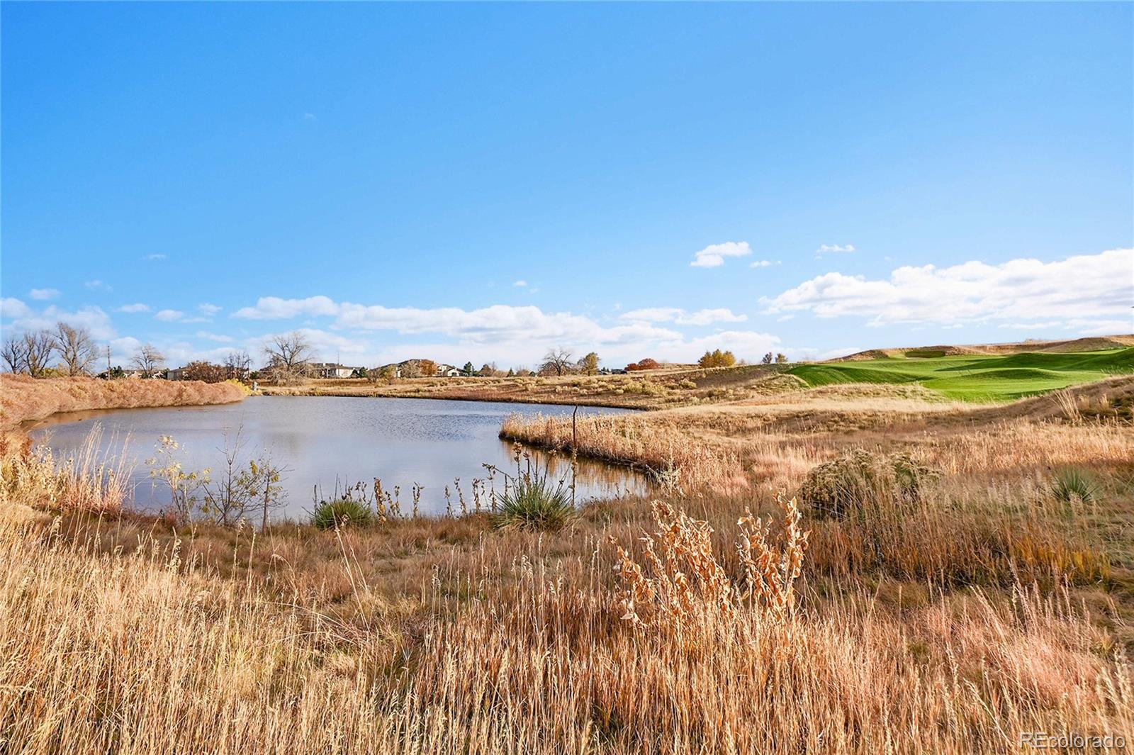 MLS Image #41 for 3352 s holland way,lakewood, Colorado