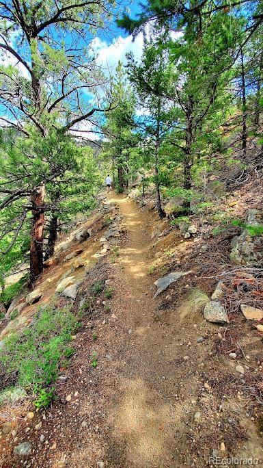 MLS Image #19 for 1418  rose street,georgetown, Colorado