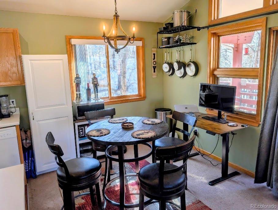 MLS Image #26 for 1418  rose street,georgetown, Colorado