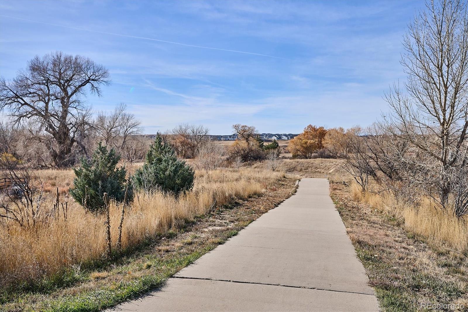 MLS Image #46 for 6667  club villa road,parker, Colorado