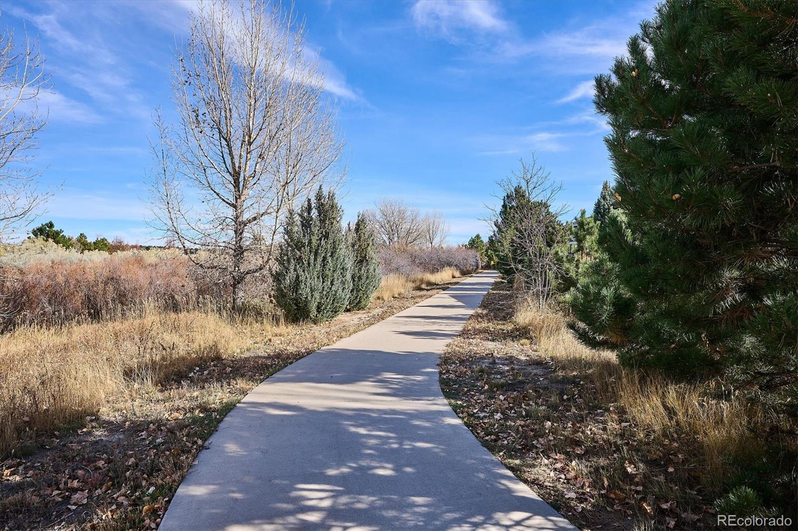 MLS Image #47 for 6667  club villa road,parker, Colorado