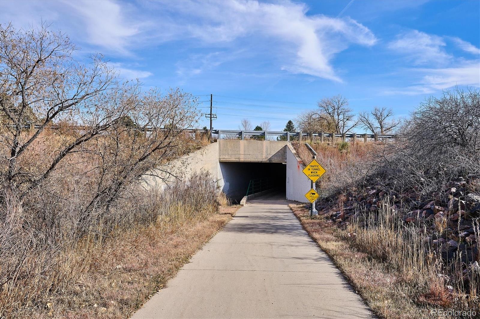 MLS Image #49 for 6667  club villa road,parker, Colorado
