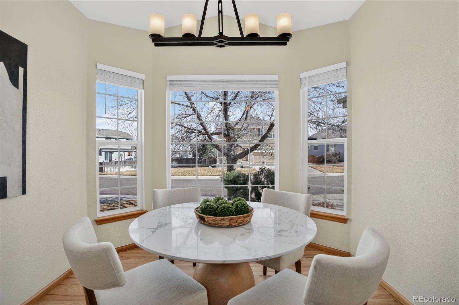 MLS Image #6 for 5399  hospitality place,parker, Colorado