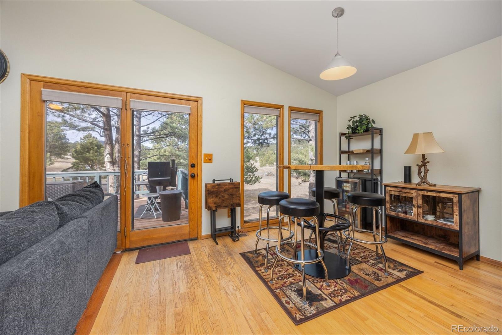 MLS Image #11 for 1768  bluebird drive,bailey, Colorado