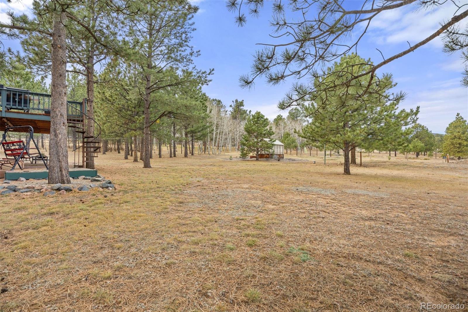 MLS Image #35 for 1768  bluebird drive,bailey, Colorado