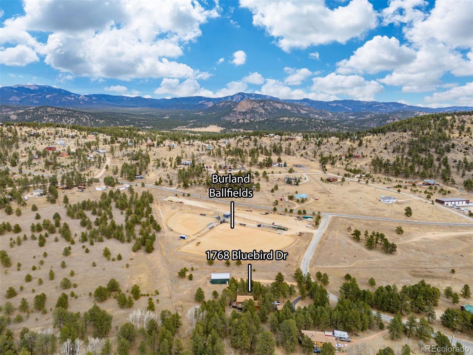 MLS Image #46 for 1768  bluebird drive,bailey, Colorado
