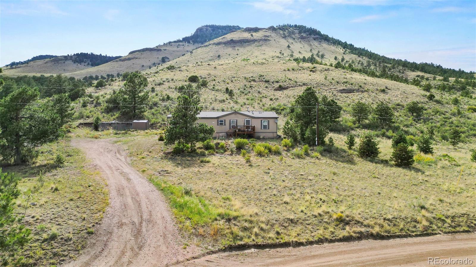 MLS Image #1 for 1711  witcher mountain road,guffey, Colorado