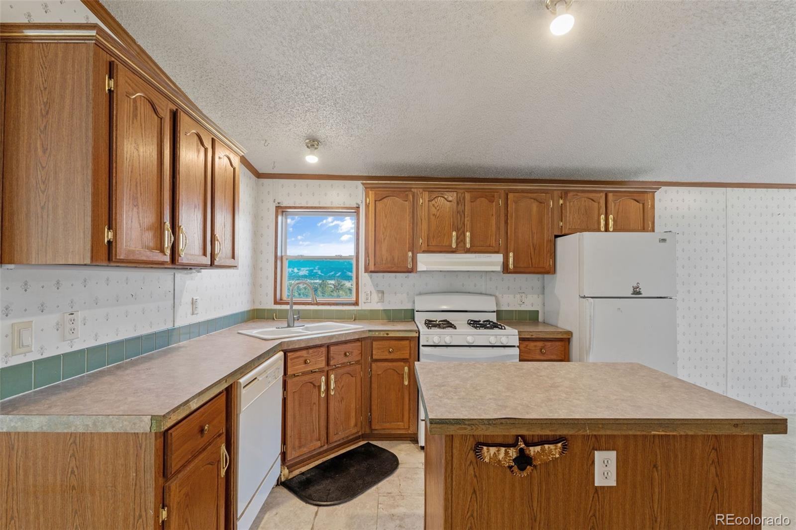 MLS Image #10 for 1711  witcher mountain road,guffey, Colorado