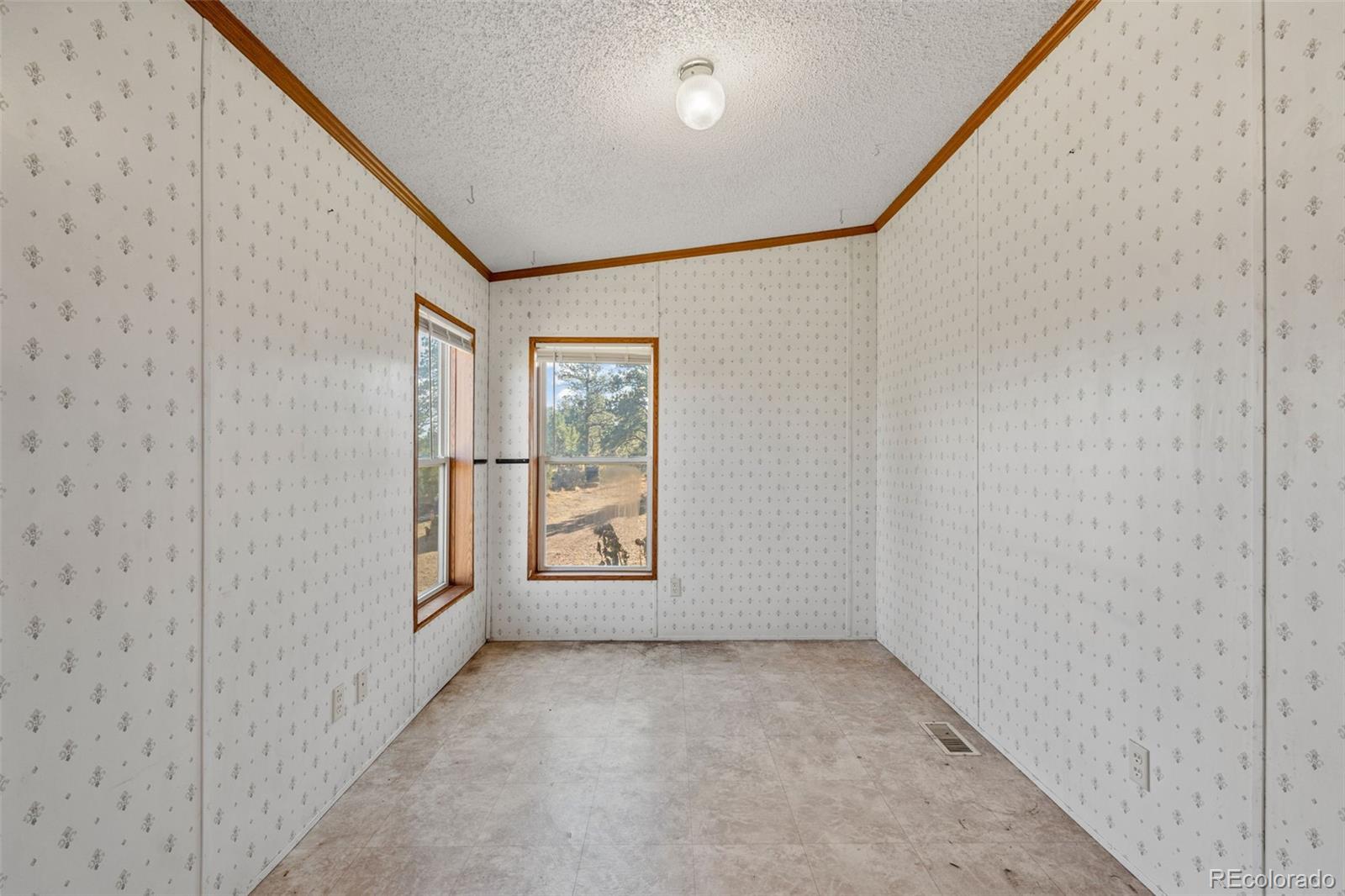 MLS Image #13 for 1711  witcher mountain road,guffey, Colorado