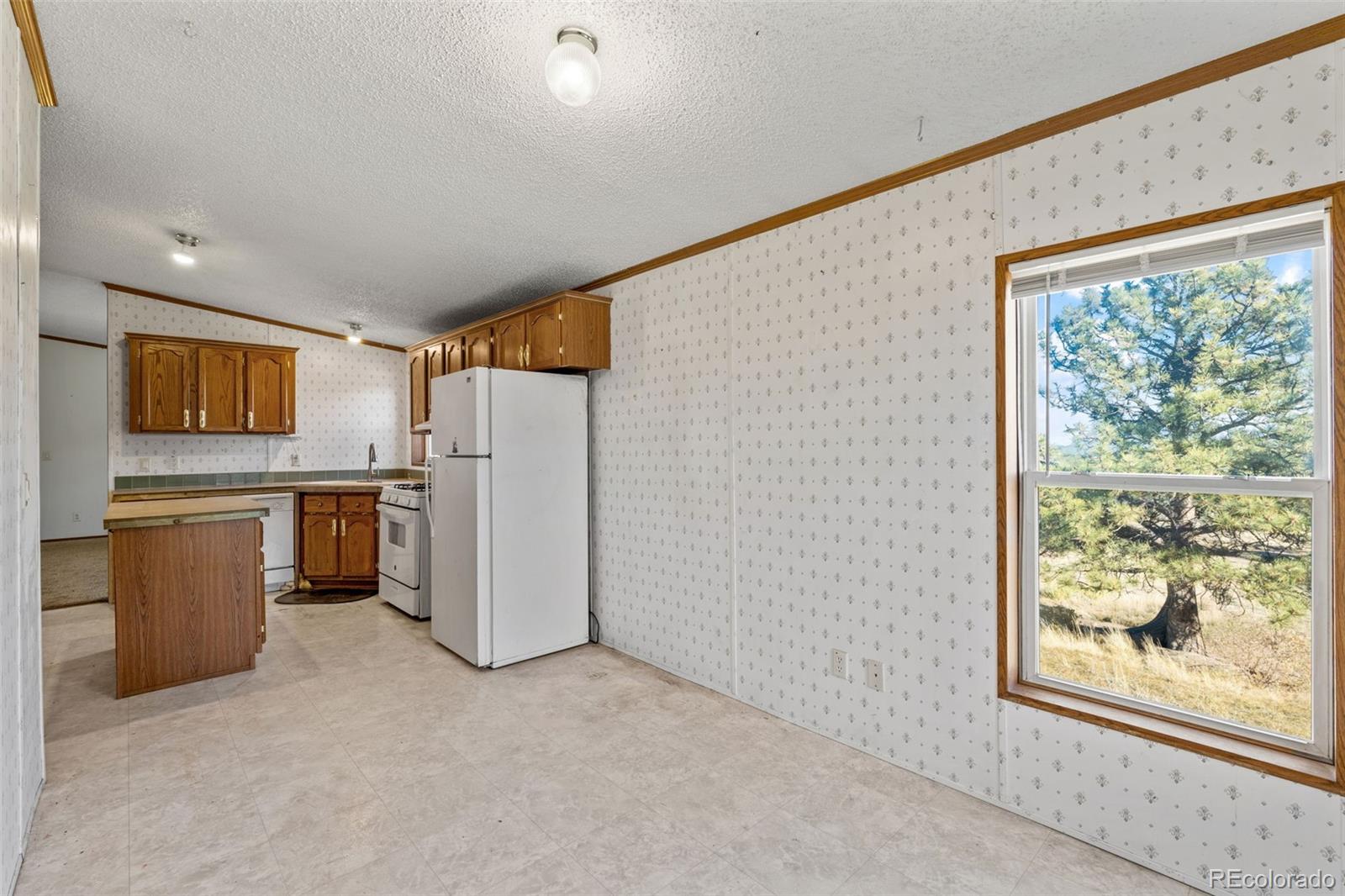MLS Image #15 for 1711  witcher mountain road,guffey, Colorado