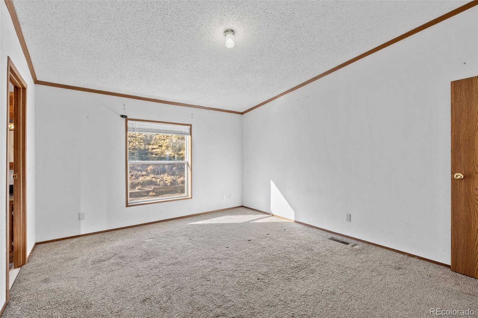 MLS Image #18 for 1711  witcher mountain road,guffey, Colorado