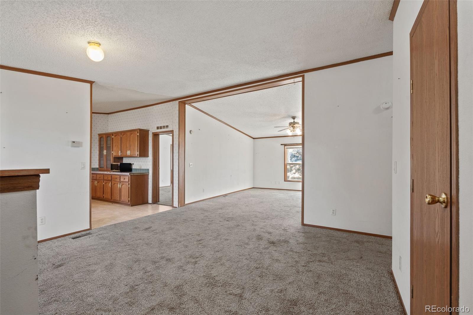 MLS Image #2 for 1711  witcher mountain road,guffey, Colorado