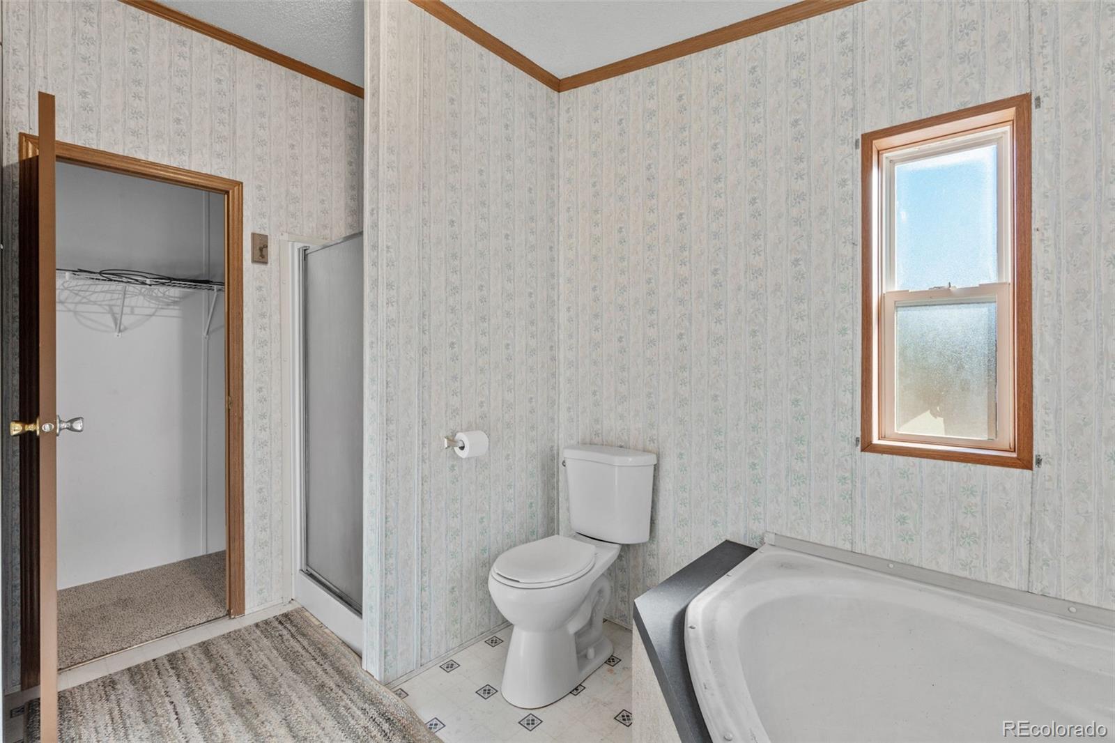MLS Image #21 for 1711  witcher mountain road,guffey, Colorado