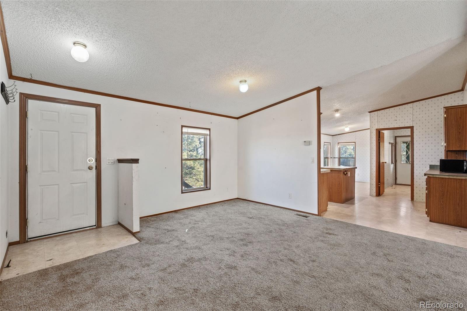 MLS Image #3 for 1711  witcher mountain road,guffey, Colorado